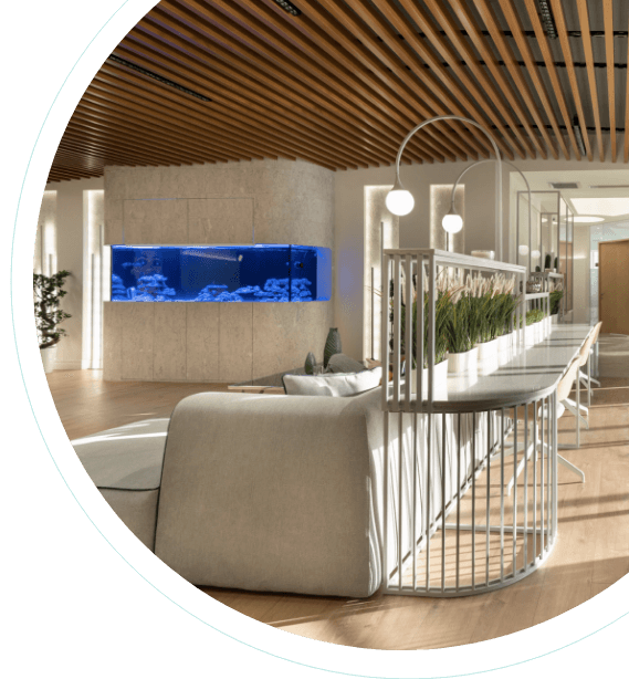 Aesthetical - Consultation Image